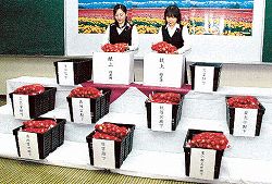 皇室献上球根6品種箱詰め
