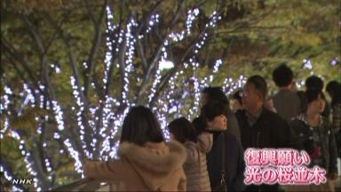 いわき光のさくらまつり:富岡の桜、光で再現 /福島