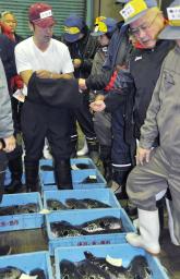 下関でフグ初競り 1キロ1万8000円