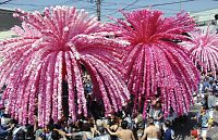 美濃路彩る花みこし17基総練りまつり開幕