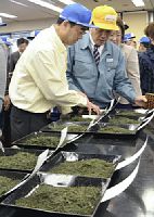 八十八夜にちなんでキロ8万8800円、一番茶最高値…静岡