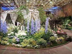 写真特集:「10カ国大使夫人のガーデニング」 ホテルオークラ東京で1日から