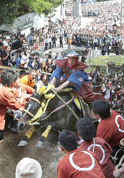 桑名・多度大社で上げ馬神事 土壁越え2回成功