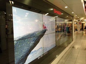 資金調達、300億円減=株価下落で-シャープ