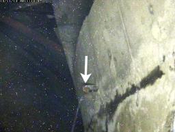 47NEWS > 共同ニュース > 第1原発のタンク胴体から水漏れ ボルト緩みが原因か