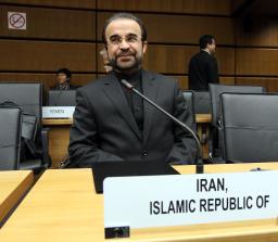 イラン、核協議の合意事項を年内にも履行＝ＩＡＥＡ担当大使