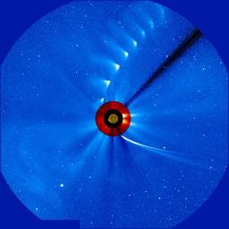 アイソン彗星、地上からも航空機からも「肉眼での確認が期待できない」…国立天文台
