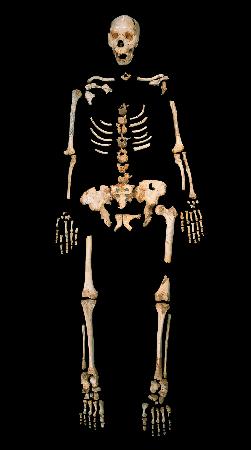 最古人類のDNA解読 40万年前、スペインで化石発掘