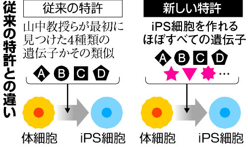 アピタルトップ > ニュース > iPS細胞作製法で包括特許 京大、実用化研究を後押し