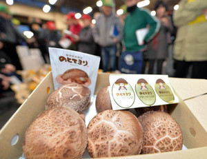 初競りにかけられた「のとてまりプレミアム」（２１日、金沢市中央卸売市場で）