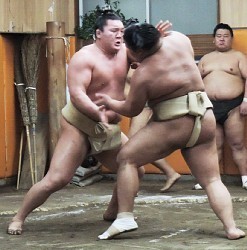白鵬、稀勢の里の綱とり期待「3横綱になってみたい」