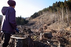 ストーリー:「復興」掛け声の陰で(その1) 山肌に欲望の爪痕