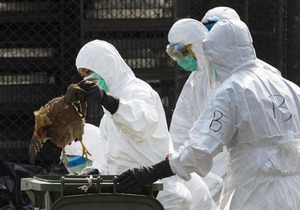 香港が本土からの鳥肉輸入を21日間禁止へ、鳥インフルで2万羽処分