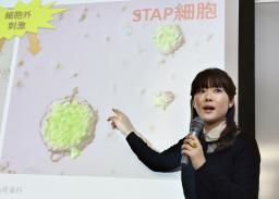 STAP細胞発見で大人気“オボちゃん”の魅力
