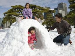 47NEWS > 共同ニュース > 東北の太平洋側も大雪 仙台で史上3番目、8人死亡