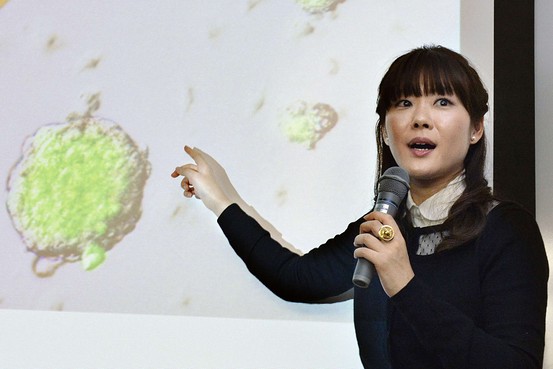 STAP細胞論文:ハーバード大が調査示唆