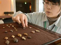 ヤジリの石器もとは珪化木 一戸・御所野遺跡