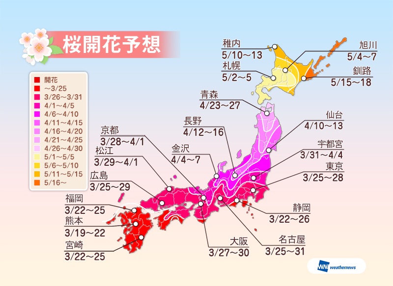 つぼみがほころび始めた桜＝長崎市松山町、爆心地公園
