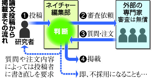 ＳＴＡＰ「細い管通す」小保方論文と手順異なる