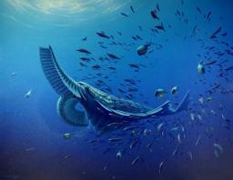 プランクトン食べ繁栄=エビ似の古生代動物-欧州チーム