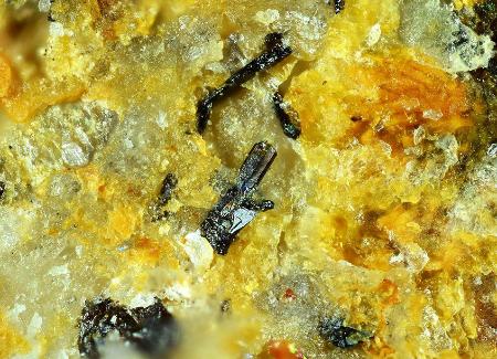 新鉱物:レアアース含む2種類…山口大などのグループ発見