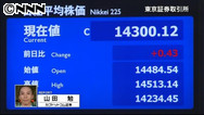 日経平均４３銭高 終値１万４３００円