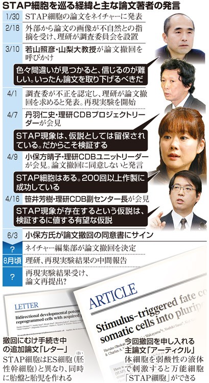 「小保方氏がやるしかない」=STAP細胞の検証実験