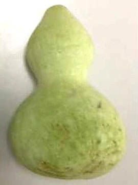 観賞用ヒョウタンで食中毒 千葉など11府県で販売 「食用」と苗に誤表示