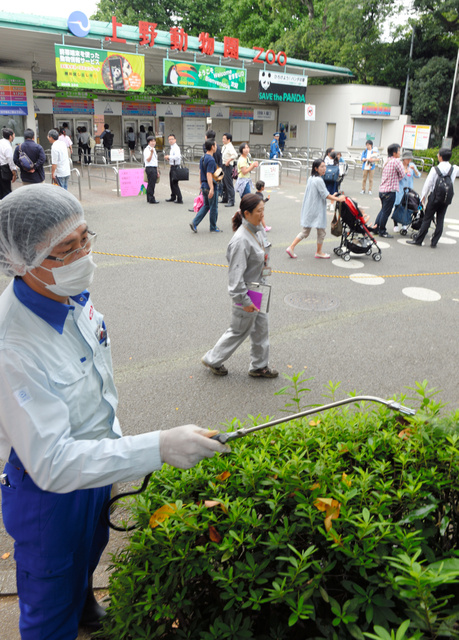 47NEWS ＞ 共同ニュース ＞ 蚊への注意呼び掛け 週末迎えた上野公園