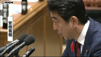 衆院予算委２日目 特定秘密保護法を追及（東京都）