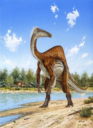 「謎の恐竜」全身骨格を発見…北大・韓国チーム 2014年10月23日 11時34分