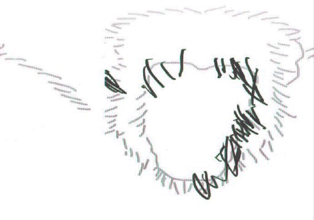 「想像で絵を描くのは人間特有の能力」?チンパンジー実験で解明