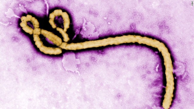 エボラ新ワクチン、高い効果確認 WHOが臨床試験