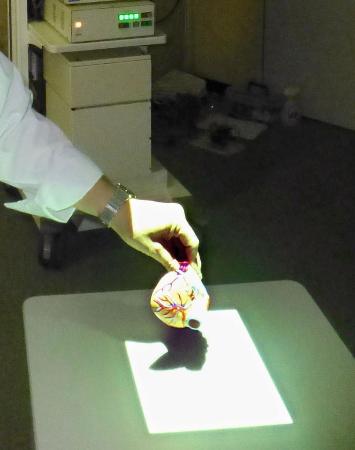 がん切除、映像投映で正確に 京大など装置開発