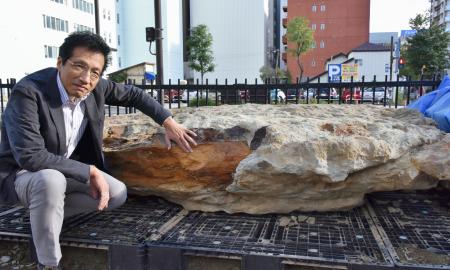 化石の鯨は国内最大級、北海道 推定全長18m、体重30トン