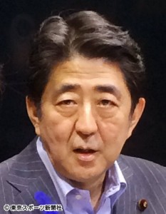 自民が採用するネット投票 野党から「AKBのパクリ」の声