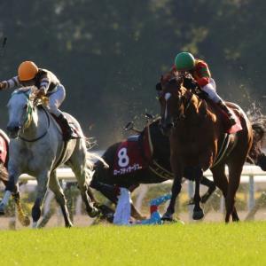 福永騎手が落馬負傷=天皇賞・秋は吉田豊騎手に変更-競馬