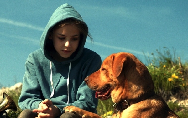 「犬の日」記念!犬だらけの冒頭映像解禁『ホワイト・ゴッド 少女と犬の狂詩曲』