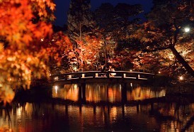 永観堂禅林寺:色づき始めた京の木々ライトアップ