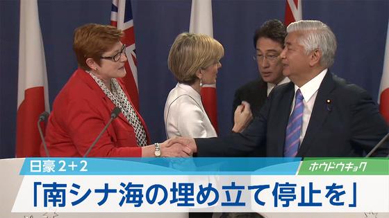 日豪２プラス２、南シナ海の中国に「強い懸念」 2015年11月22日 21時25分