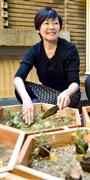 昭恵夫人、公邸中庭に福島の菜の花植栽 ミツバチの蜜源に
