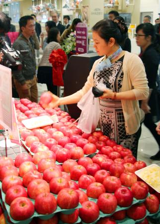 青森産リンゴの販売開始=イオングループ店舗で-ベトナム