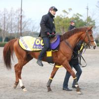 ゴールドシップは８枠15番 競馬の有馬記念枠順