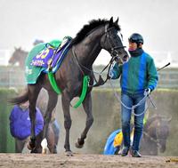 【有馬記念】波乱の結末 伏兵ゴールドアクターがG1初制覇