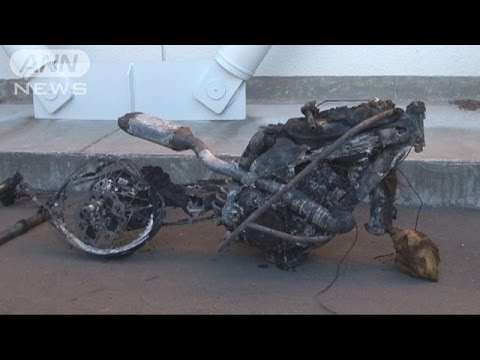 プロライダー練習中に死亡、茨城