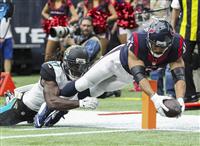 【NFL】テキサンズ、スティーラーズがプレーオフ進出 12チームが出そろう 最終週