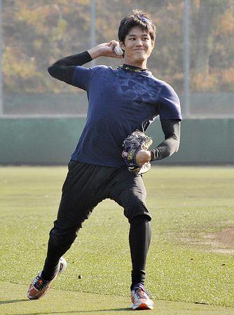 阪神の藤浪、プロ４年目「初心に戻る」 母校で練習公開