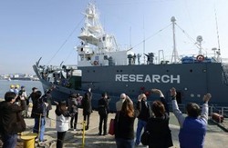 米豪など日本の調査捕鯨再開反対 - ４カ国が声明