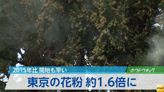 花粉 昨春並み…多摩部は２倍 2016年01月22日