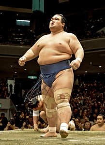 琴奨菊「日に日に冷静」横綱3連破で12連勝